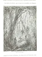 An illustration from La Terre et les Mers, ou description physique du globe. Ouvrage contenant 170 vignettes dessignées par K. Girardet, Lebreton, ... et 20 cartes physiques (1864)