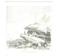 Picture 61 of 181 from La Terre et les Mers, ou description physique du globe. Ouvrage contenant 170 vignettes dessignées par K. Girardet, Lebreton, ... et 20 cartes physiques (1864), leaf 242