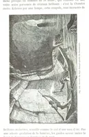 An illustration from La Terre et les Mers, ou description physique du globe. Ouvrage contenant 170 vignettes dessignées par K. Girardet, Lebreton, ... et 20 cartes physiques (1864)