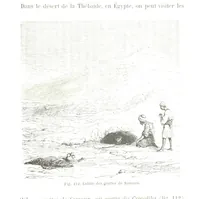 Picture 116 of 181 from La Terre et les Mers, ou description physique du globe. Ouvrage contenant 170 vignettes dessignées par K. Girardet, Lebreton, ... et 20 cartes physiques (1864), leaf 395