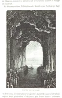 Picture 117 of 181 from La Terre et les Mers, ou description physique du globe. Ouvrage contenant 170 vignettes dessignées par K. Girardet, Lebreton, ... et 20 cartes physiques (1864), leaf 396