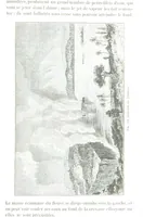An illustration from La Terre et les Mers, ou description physique du globe. Ouvrage contenant 170 vignettes dessignées par K. Girardet, Lebreton, ... et 20 cartes physiques (1864)