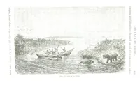 Picture 139 of 181 from La Terre et les Mers, ou description physique du globe. Ouvrage contenant 170 vignettes dessignées par K. Girardet, Lebreton, ... et 20 cartes physiques (1864), leaf 447