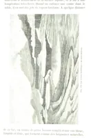 An illustration from La Terre et les Mers, ou description physique du globe. Ouvrage contenant 170 vignettes dessignées par K. Girardet, Lebreton, ... et 20 cartes physiques (1864)