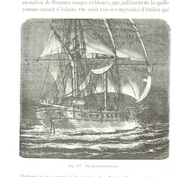 An illustration from La Terre et les Mers, ou description physique du globe. Ouvrage contenant 170 vignettes dessignées par K. Girardet, Lebreton, ... et 20 cartes physiques (1864)