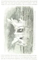 An illustration from La Terre et les Mers, ou description physique du globe. Ouvrage contenant 170 vignettes dessignées par K. Girardet, Lebreton, ... et 20 cartes physiques (1864)