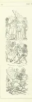 An illustration from The Fijiad; or, English Nights' Entertainments. (By an author of the Siliad [i.e. R. Emerson] and others.) (1874)