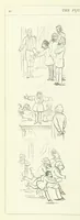 Picture 15 of 37 from The Fijiad; or, English Nights' Entertainments. (By an author of the Siliad [i.e. R. Emerson] and others.) (1874), leaf 60