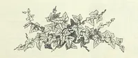 An illustration from The Fijiad; or, English Nights' Entertainments. (By an author of the Siliad [i.e. R. Emerson] and others.) (1874)