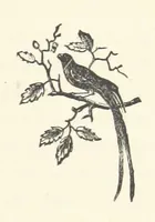 Picture 12 of 20 from Norman Reid, M. A. [A tale (1890), leaf 121