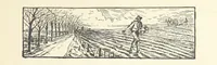 An illustration from Norman Reid, M. A. [A tale (1890)