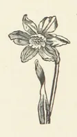 An illustration from Norman Reid, M. A. [A tale (1890)
