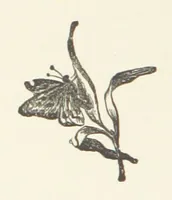An illustration from Norman Reid, M. A. [A tale (1890)