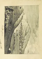 Picture 47 of 69 from Zeitgeschichte der Städte Schlesiens, mit Abbildungen (1819), leaf 98