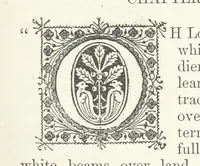 Picture 2 of 55 from The Last Stake: a tale of Monte Carlo (1886), leaf 13