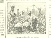 Picture 264 of 286 from Geographie Générale ... Avec index, etc (1887), leaf 215