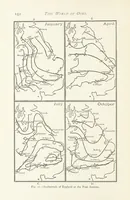 Picture 48 of 109 from This World of Ours. An introduction to the study of geography ... Illustrated (1891), leaf 170