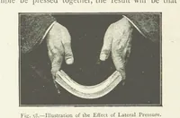 Picture 58 of 109 from This World of Ours. An introduction to the study of geography ... Illustrated (1891), leaf 184