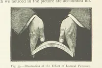 Picture 59 of 109 from This World of Ours. An introduction to the study of geography ... Illustrated (1891), leaf 184