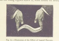 Picture 60 of 109 from This World of Ours. An introduction to the study of geography ... Illustrated (1891), leaf 185