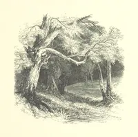 An illustration from Beauties of English landscape. Drawn by Birket Foster. Engraved by Dalziel Brothers, J. Cooper ... and others (1874)