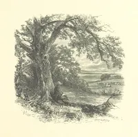 An illustration from Beauties of English landscape. Drawn by Birket Foster. Engraved by Dalziel Brothers, J. Cooper ... and others (1874)