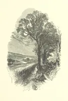 An illustration from Beauties of English landscape. Drawn by Birket Foster. Engraved by Dalziel Brothers, J. Cooper ... and others (1874)