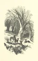 An illustration from Beauties of English landscape. Drawn by Birket Foster. Engraved by Dalziel Brothers, J. Cooper ... and others (1874)