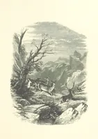 An illustration from Beauties of English landscape. Drawn by Birket Foster. Engraved by Dalziel Brothers, J. Cooper ... and others (1874)