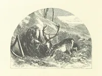An illustration from Beauties of English landscape. Drawn by Birket Foster. Engraved by Dalziel Brothers, J. Cooper ... and others (1874)