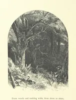 An illustration from Beauties of English landscape. Drawn by Birket Foster. Engraved by Dalziel Brothers, J. Cooper ... and others (1874)