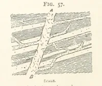 An illustration from A Text-book of Ore and Stone Mining ... With frontispiece and 716 illustrations (1894)