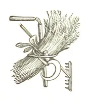 An illustration from The Folks of Fernleigh. A country chronicle (1890)