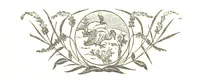 An illustration from The Folks of Fernleigh. A country chronicle (1890)