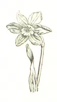 An illustration from The Folks of Fernleigh. A country chronicle (1890)