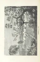 Picture 95 of 105 from Histoire pittoresque des villes les plus remarquables de l'Italie, la Suisse, l'Allemagne, la Russie, la Turquie, la Grèce, l'Asie, l'Afrique et l'Amérique (1849), leaf 264