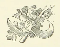 An illustration from The Fox and the Goose. A tale of the Curragh of Kildare. By the author of “Spavin Hall.” (1887)
