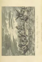 An illustration from Recent Expeditions to the Polar Regions, including all the voyages undertaken in search of Sir J. F. [Compiled from various official documents, and private communications, by R. Huish.] No. 1-60 (1852)