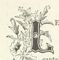 An illustration from The Light-ship Hand; or, the Strange Adventures of Richard Gayden, etc. [A tale (1893)
