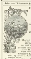 An illustration from The Light-ship Hand; or, the Strange Adventures of Richard Gayden, etc. [A tale (1893)