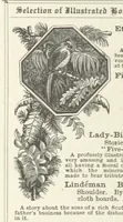 An illustration from The Light-ship Hand; or, the Strange Adventures of Richard Gayden, etc. [A tale (1893)