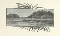 An illustration from The Light-ship Hand; or, the Strange Adventures of Richard Gayden, etc. [A tale (1893)