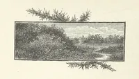 An illustration from The Light-ship Hand; or, the Strange Adventures of Richard Gayden, etc. [A tale (1893)