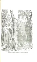 An illustration from Border Wars of the West. Comprising the frontier wars of Pennsylvania, Virginia, Kentucky, Ohio, Indiana, Illinois, Tennessee and Wisconsin, etc (1853)