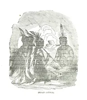 An illustration from Border Wars of the West. Comprising the frontier wars of Pennsylvania, Virginia, Kentucky, Ohio, Indiana, Illinois, Tennessee and Wisconsin, etc (1853)