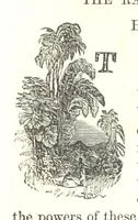 An illustration from Illustrated Historical Sketches of the Indians, exhibiting their manners and customs on the battle field, and in the Wigwam ... From the best authorities (1857)