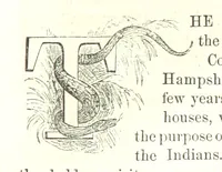 An illustration from Illustrated Historical Sketches of the Indians, exhibiting their manners and customs on the battle field, and in the Wigwam ... From the best authorities (1857)