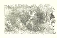 An illustration from Illustrated Historical Sketches of the Indians, exhibiting their manners and customs on the battle field, and in the Wigwam ... From the best authorities (1857)
