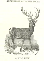 An illustration from Illustrated Historical Sketches of the Indians, exhibiting their manners and customs on the battle field, and in the Wigwam ... From the best authorities (1857)