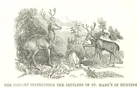 An illustration from Illustrated Historical Sketches of the Indians, exhibiting their manners and customs on the battle field, and in the Wigwam ... From the best authorities (1857)